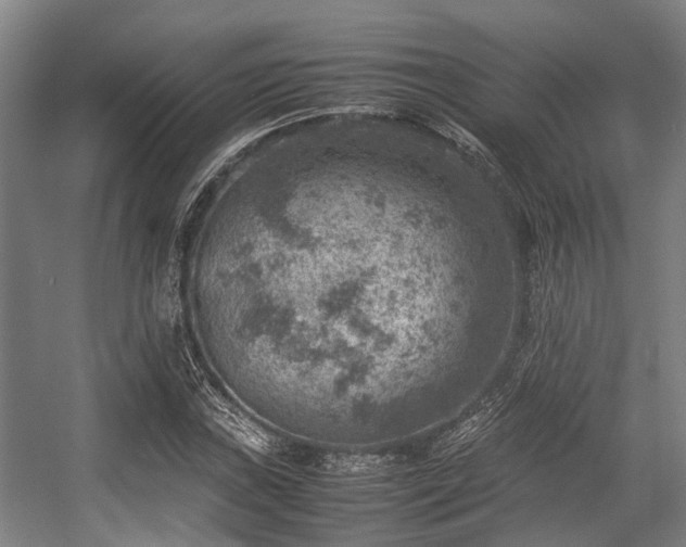 X0000057081019200509120915