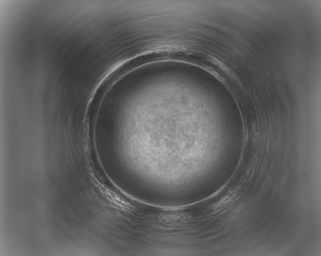 X0000057081021200509120915