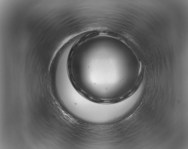 X0000057081022200509120915