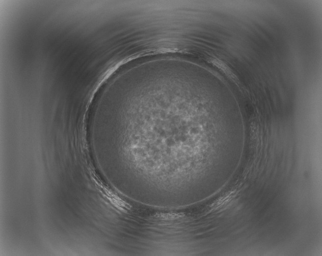 X0000057081023200509120915