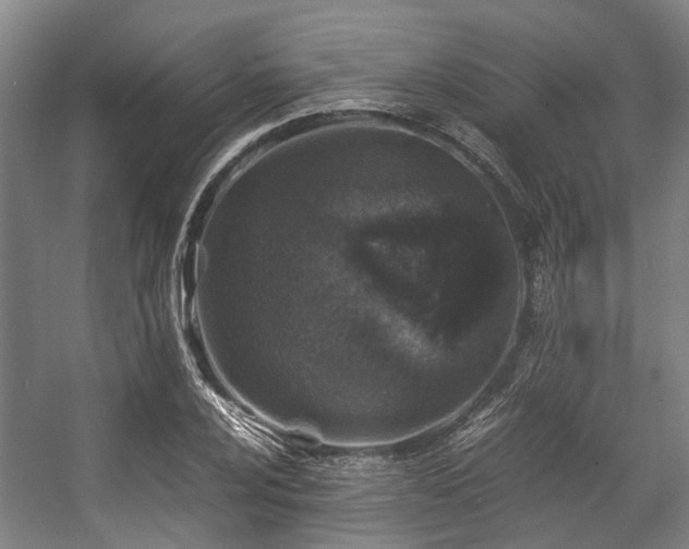 X0000057081024200509120915