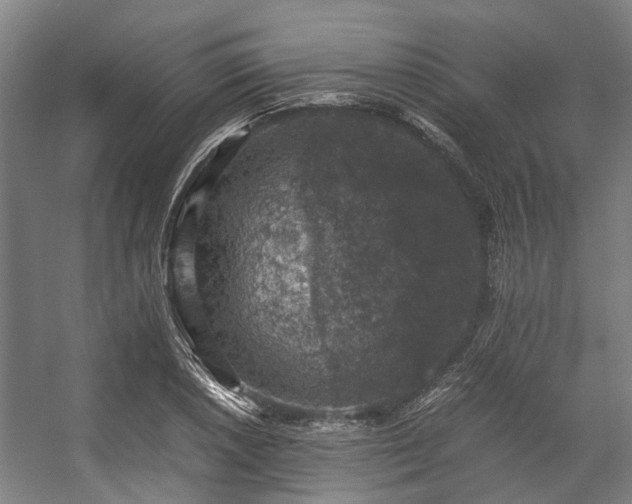 X0000057081026200509120915