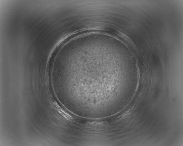 X0000057081027200509120915