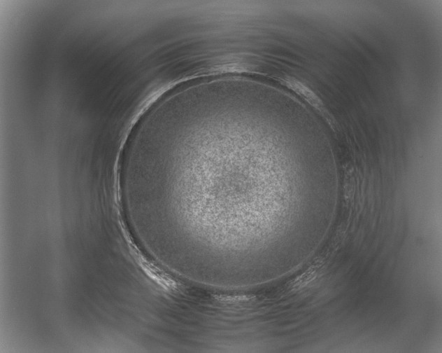 X0000057081031200509120915