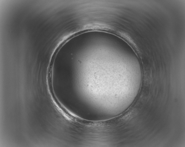 X0000057081040200509120915