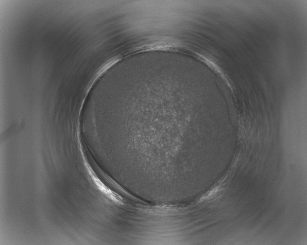 X0000057081042200509120915