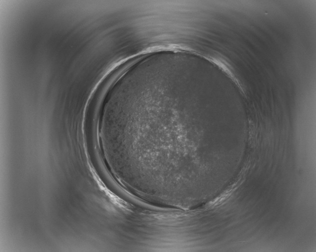 X0000057081046200509120915