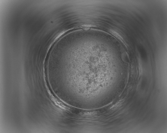 X0000057081047200509120915