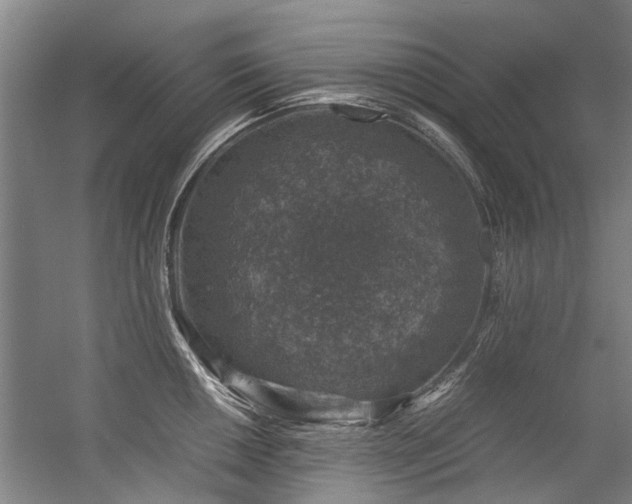 X0000057081050200509120915