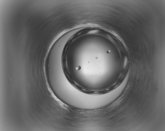 X0000057081054200509120915