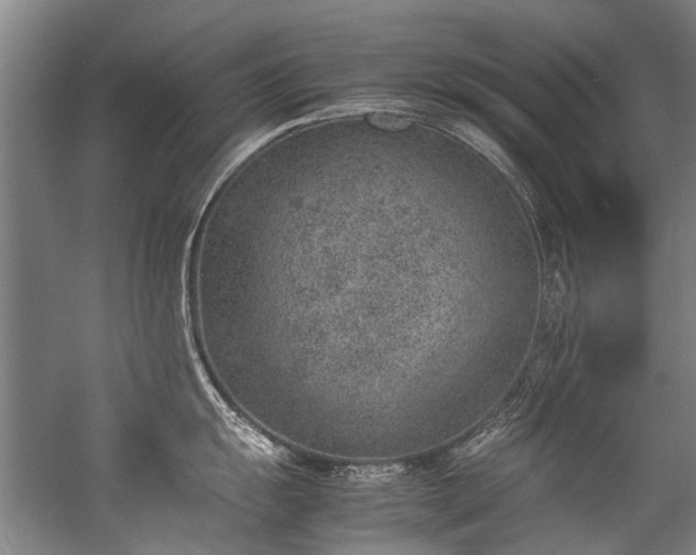 X0000057081055200509120915