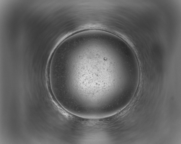 X0000057081056200509120915