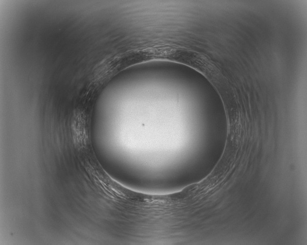 X0000057081058200509120914