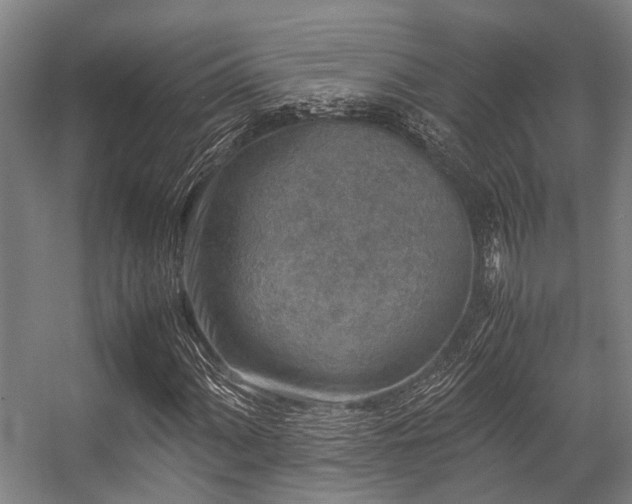 X0000057081060200509120914