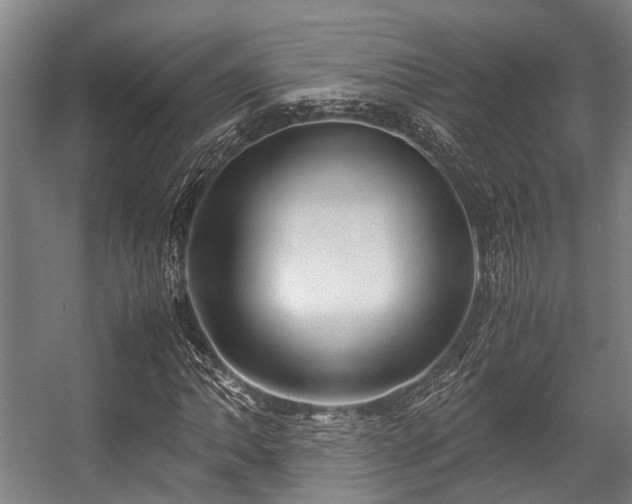 X0000057081062200509120914