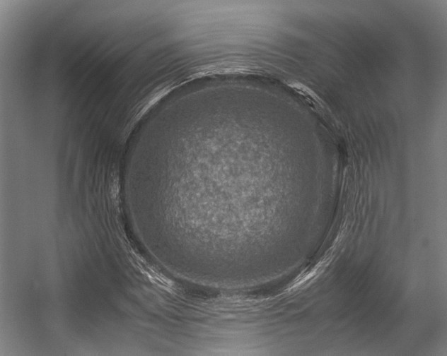 X0000057081065200509120914