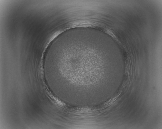 X0000057081071200509120914