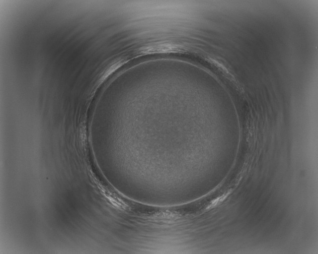 X0000057081073200509120914