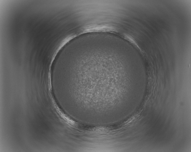 X0000057081079200509120914