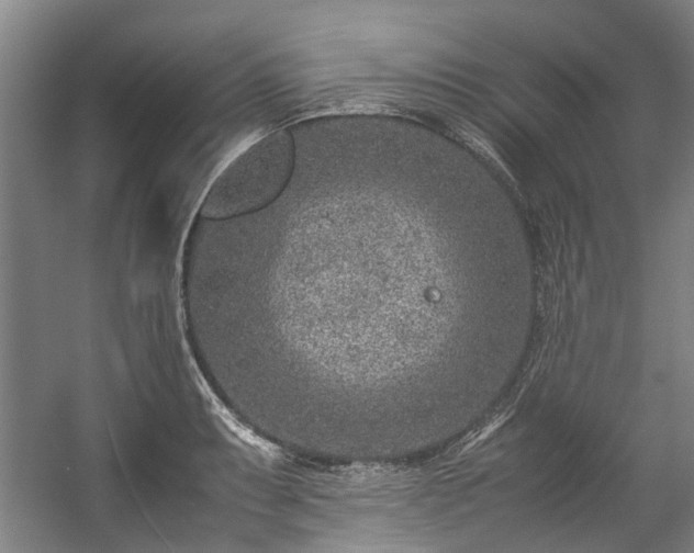 X0000057081087200509120914