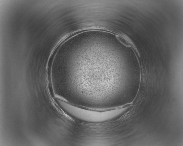 X0000057081096200509120914