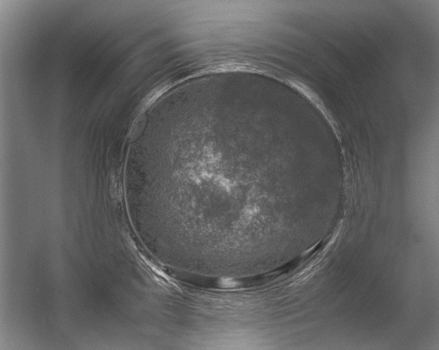 X0000057081097200509120914