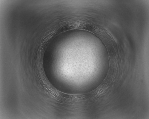 X0000057081105200509120913