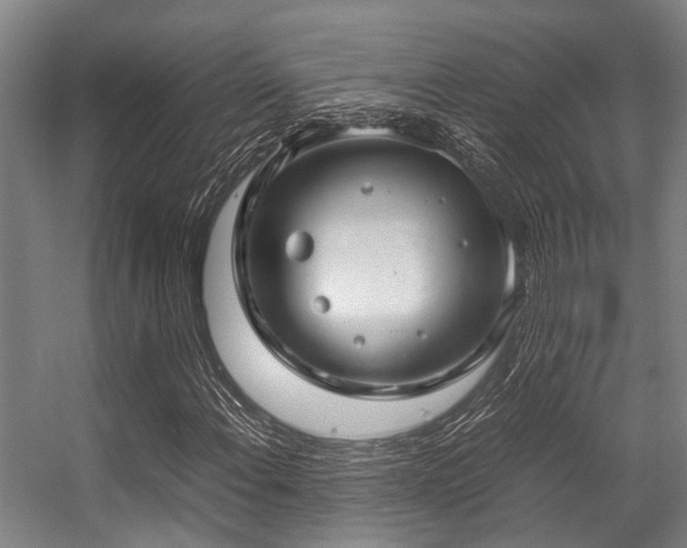 X0000057081108200509120913