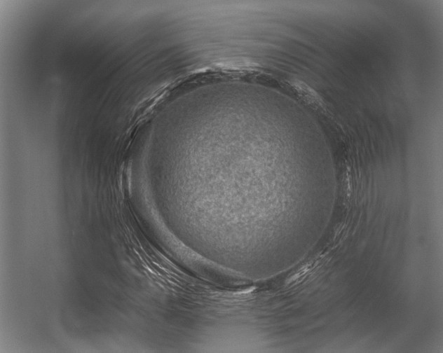 X0000057081110200509120913