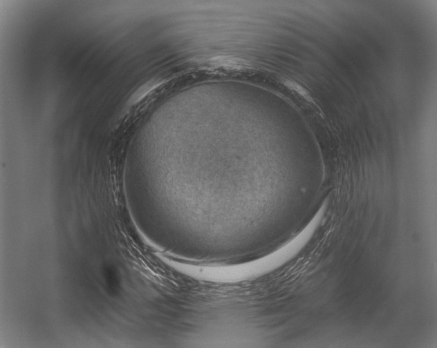 X0000057081112200509120913