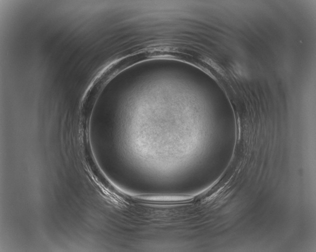 X0000057081115200509120913