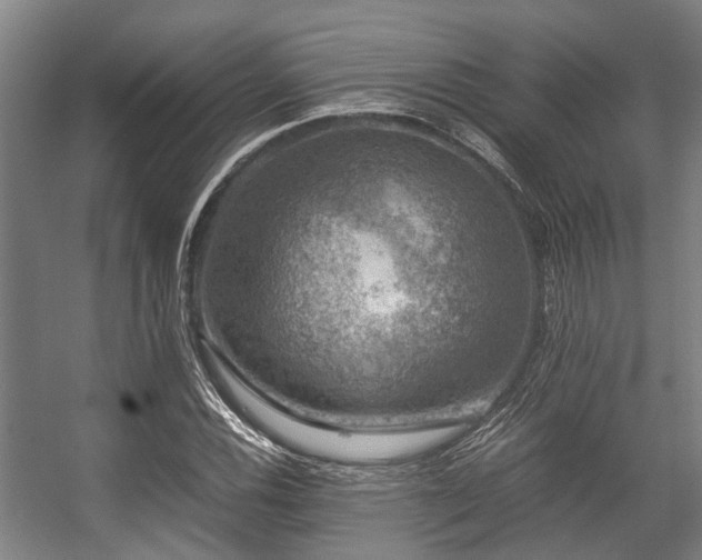 X0000057081116200509120913