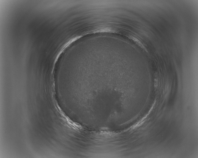 X0000057081117200509120913