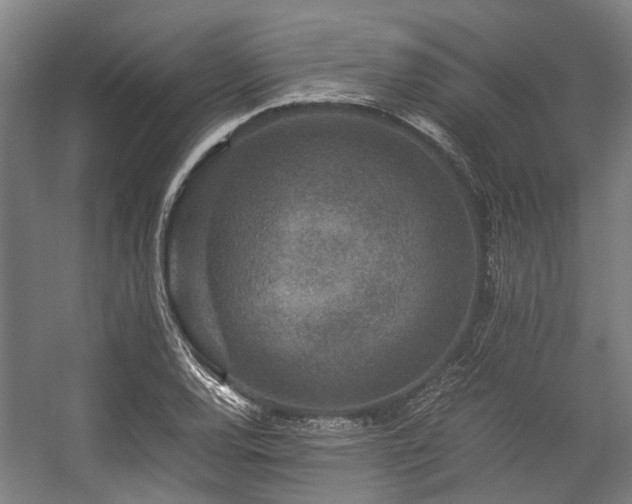 X0000057081120200509120913