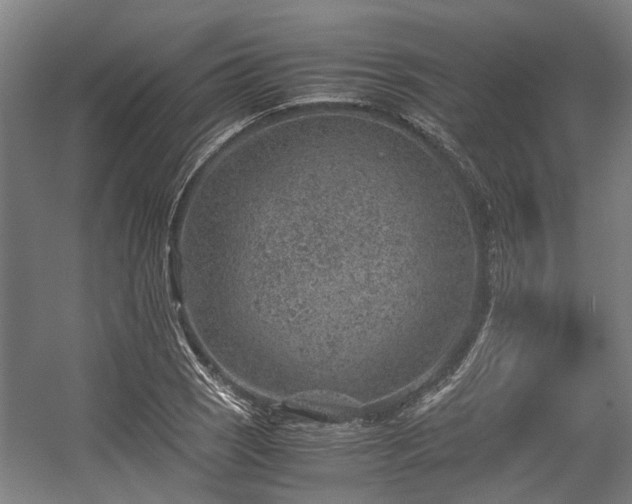 X0000057081121200509120913