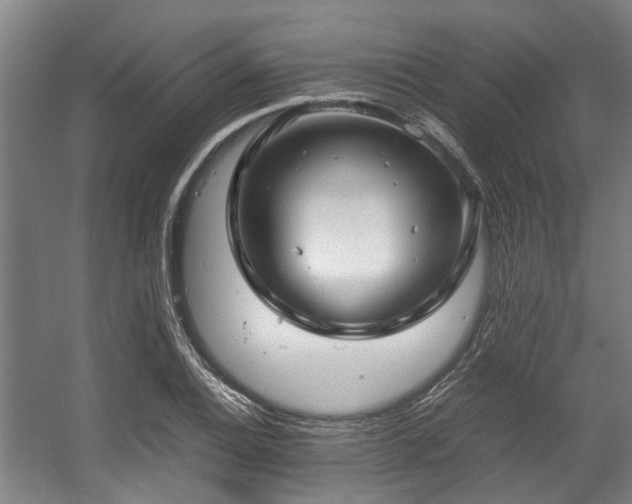 X0000057081124200509120913