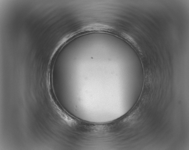 X0000057081130200509120913