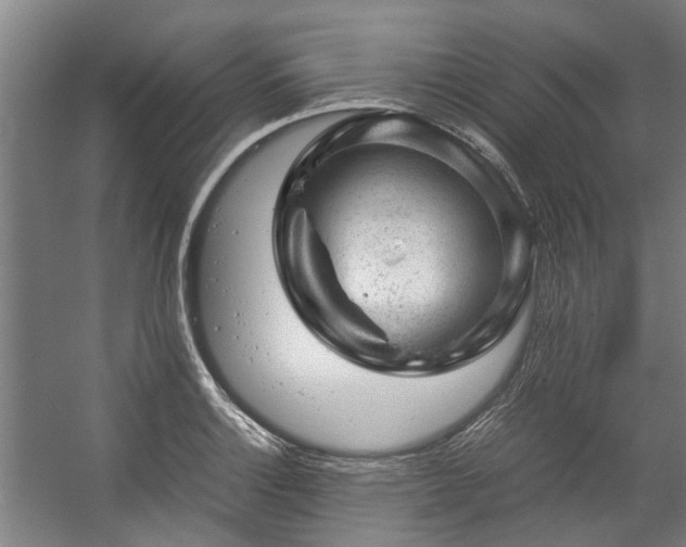 X0000057081132200509120913