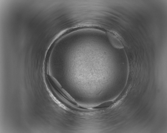 X0000057081134200509120913