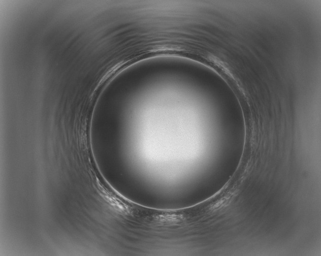 X0000057081137200509120913