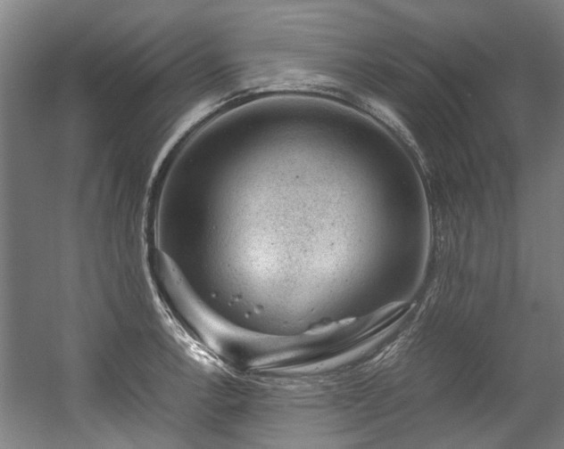 X0000057081138200509120913