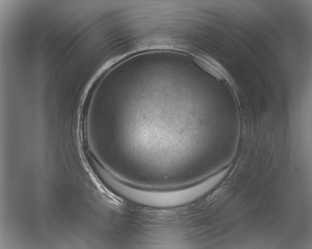 X0000057081144200509120913