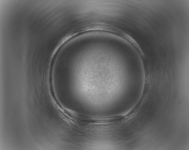 X0000057081146200509120913