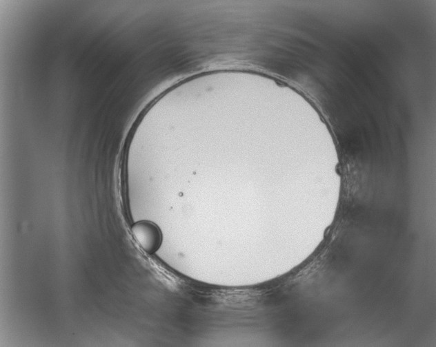 X0000057081150200509120914