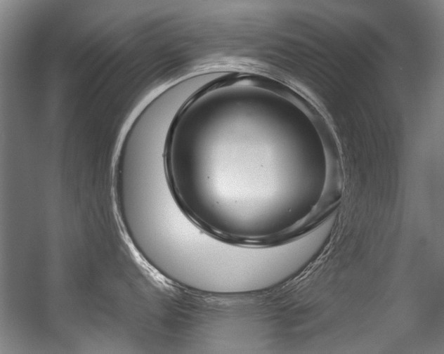 X0000057081152200509120914