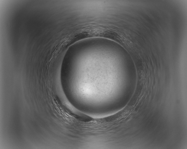 X0000057081153200509120913