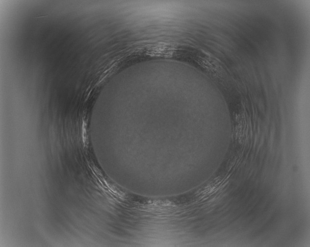 X0000057081154200509120913