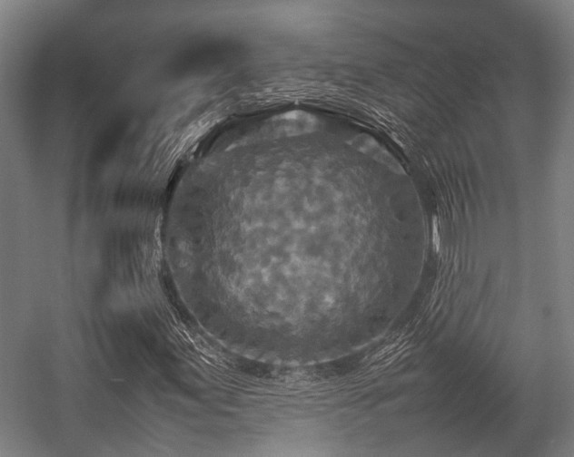 X0000057081155200509120913