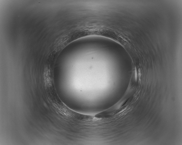 X0000057081156200509120913