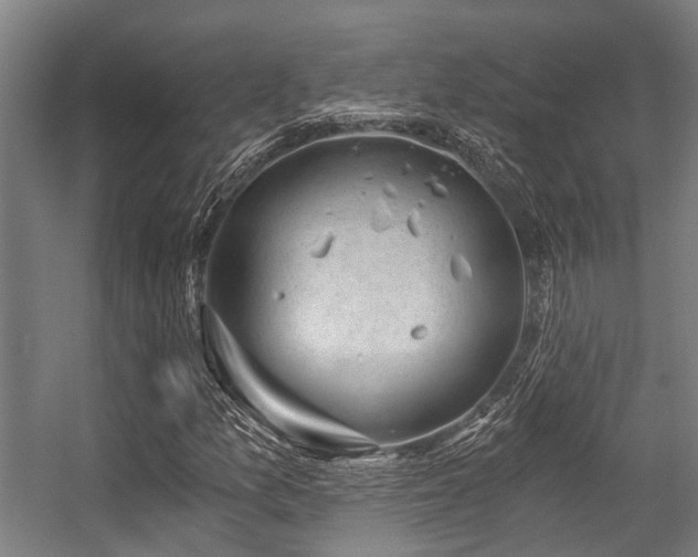 X0000057081157200509120913